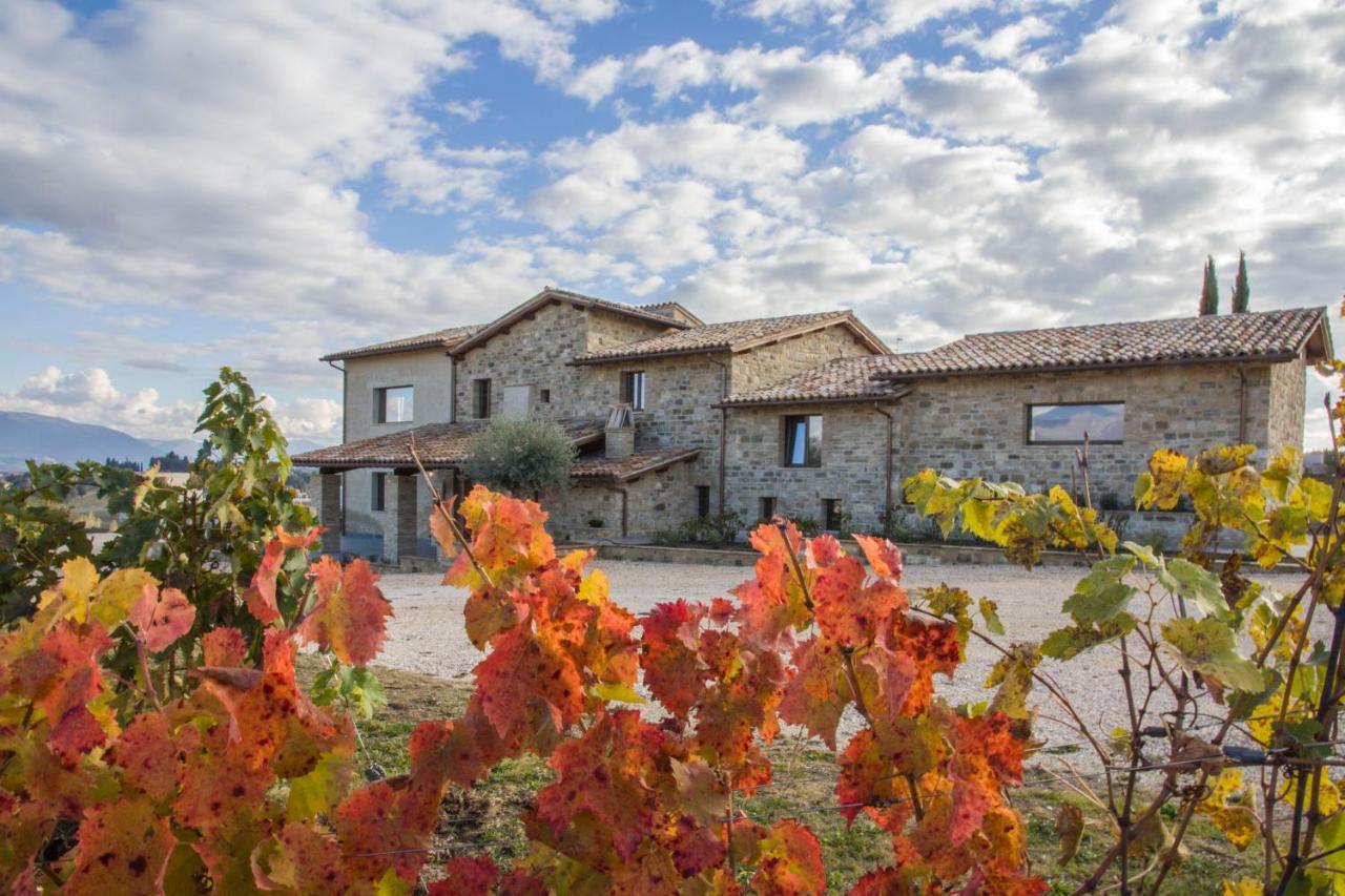 Fattoria Colsanto Torre del Colle Exterior foto